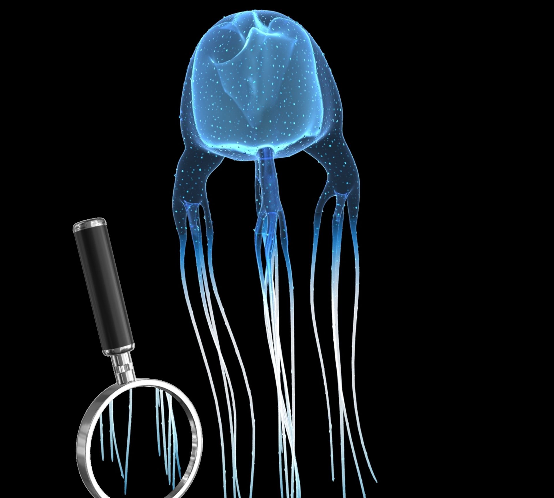 生有触须的水母和酷似水母的触须精灵,并非日本邪恶漫画中的触手