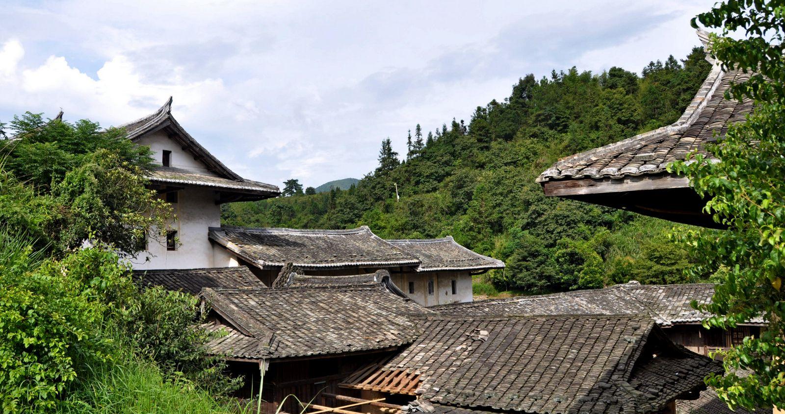 来武夷山寻乌,探寻客家族土楼,去深山寻找"仙草"黑灵芝