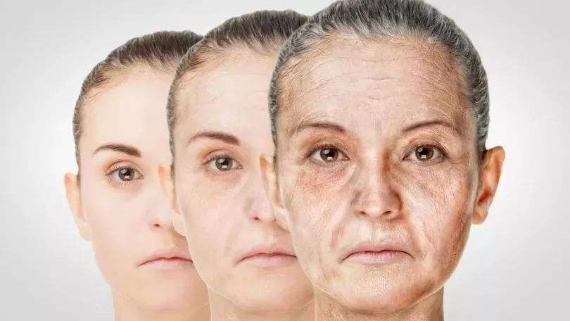 歌黎兰视界:"抗衰理念"大爆发,中国抗衰市场空间巨大|新华财经|新氧