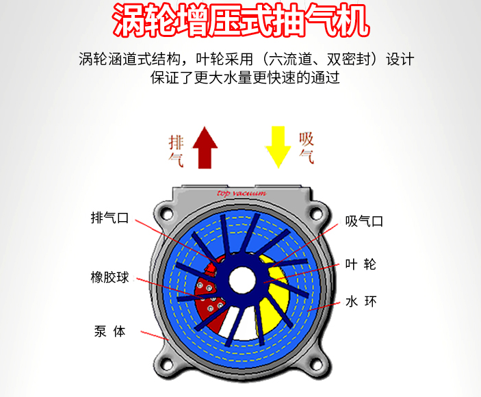 仪器百科 | 循环水真空泵可以用来做什么实验?
