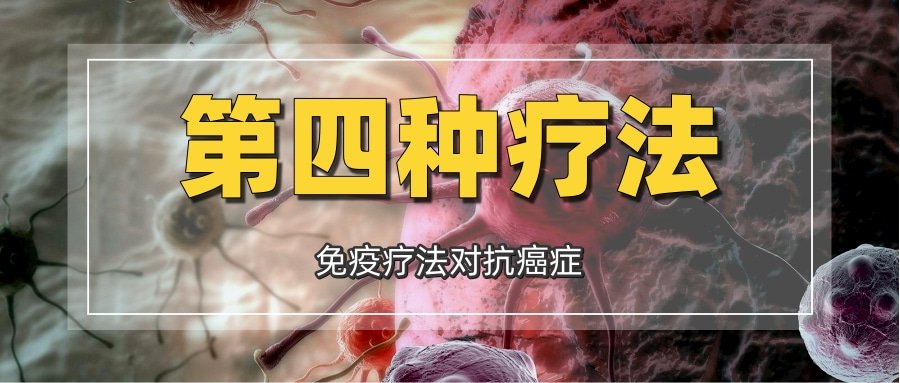 90%的癌症患者死于复发转移!免疫细胞助力“重建免疫系统”|肿瘤|癌细胞|疫情|复发率_新浪新闻