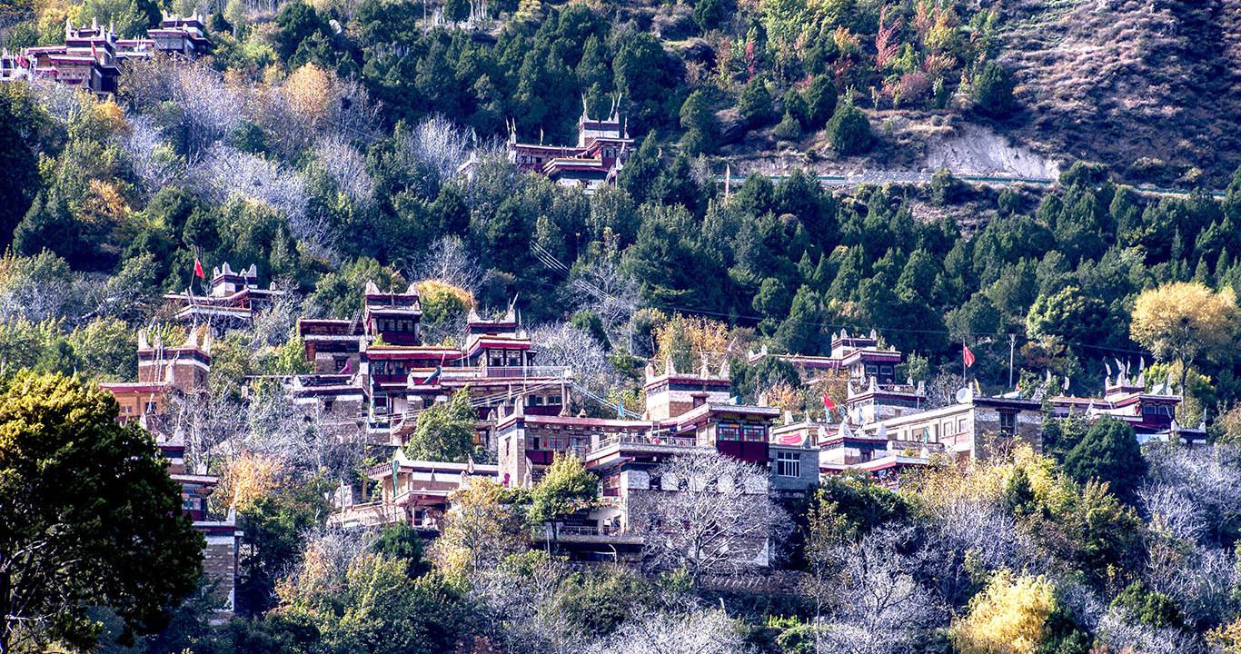 四川甘孜一村寨,房子建在山腰上,过年家家户户要涂"白泥巴"