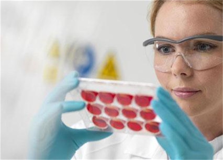 自体脂肪填充哪里好（自体填充用哪里脂肪比较好）