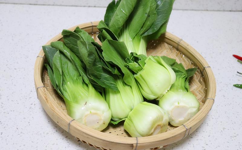 这青菜叫上海青,也叫油菜,小棠菜,青江菜.