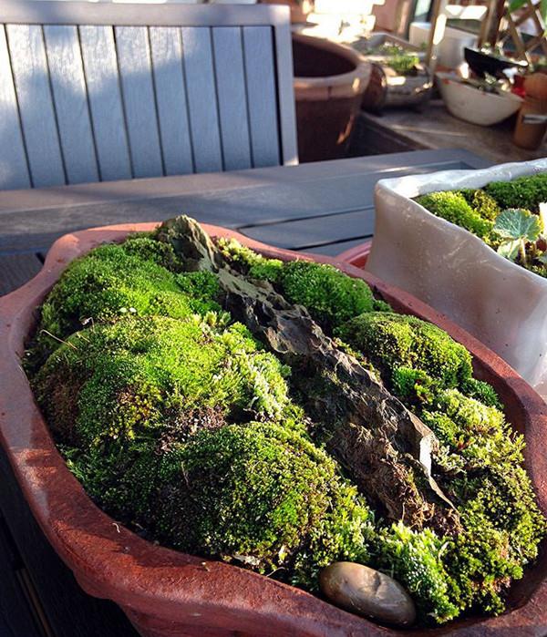 园艺的境界 简单就很美 财经头条