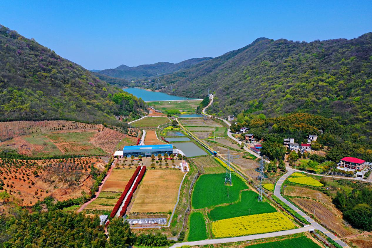 芜湖繁昌区强村七法激活集体经济一池春水