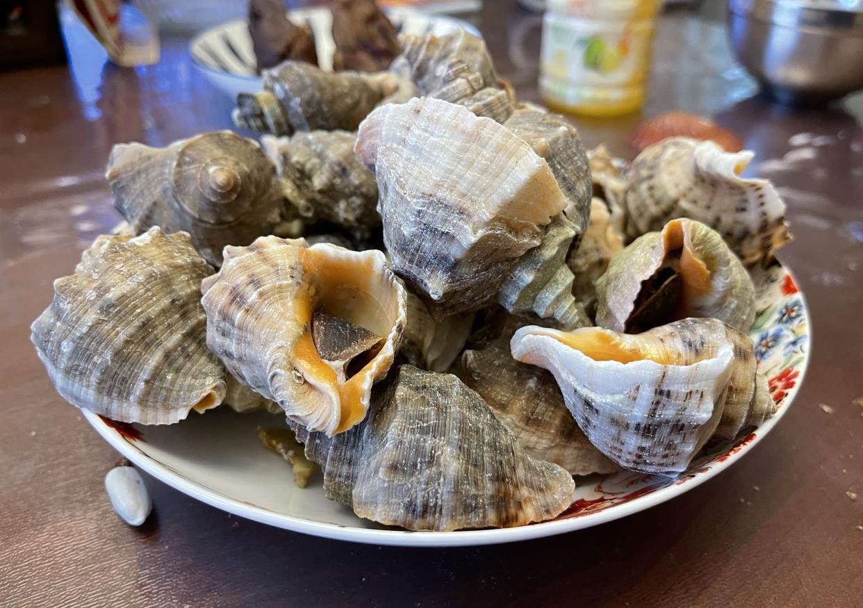 金秋美食大海螺居家也有好味道