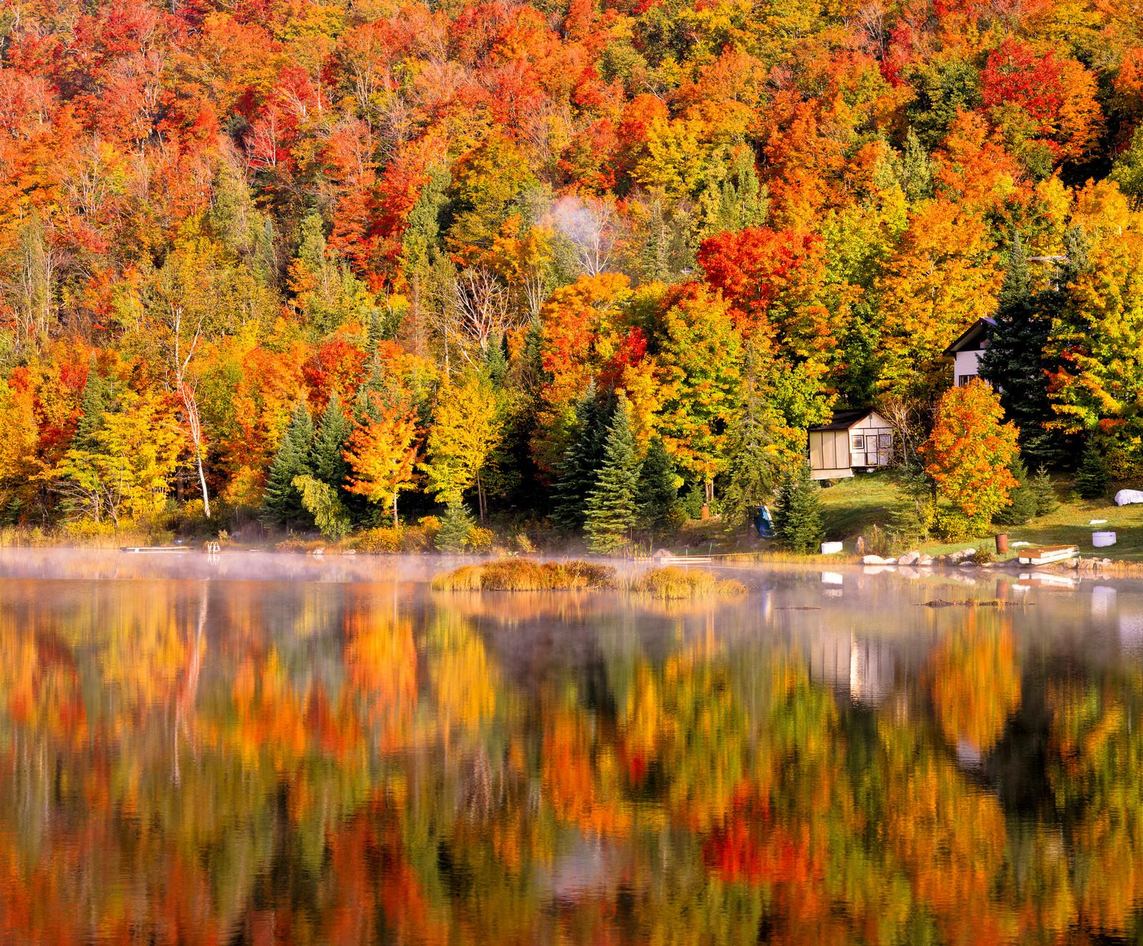 都知道,加拿大的国旗上是一片红色的枫叶,可见这个国家对于枫树的热爱