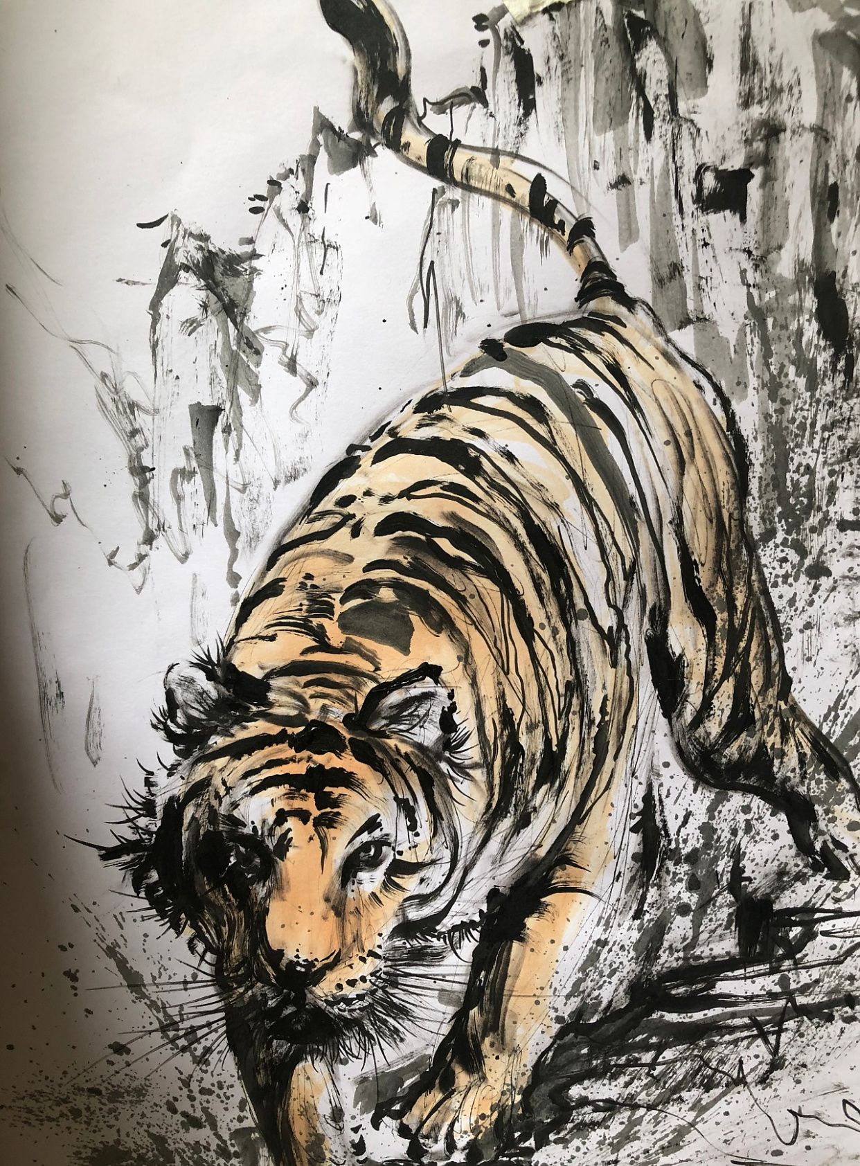 猛虎归山去似风,群山峻岭任驰骋,虎系列绘画作品欣赏