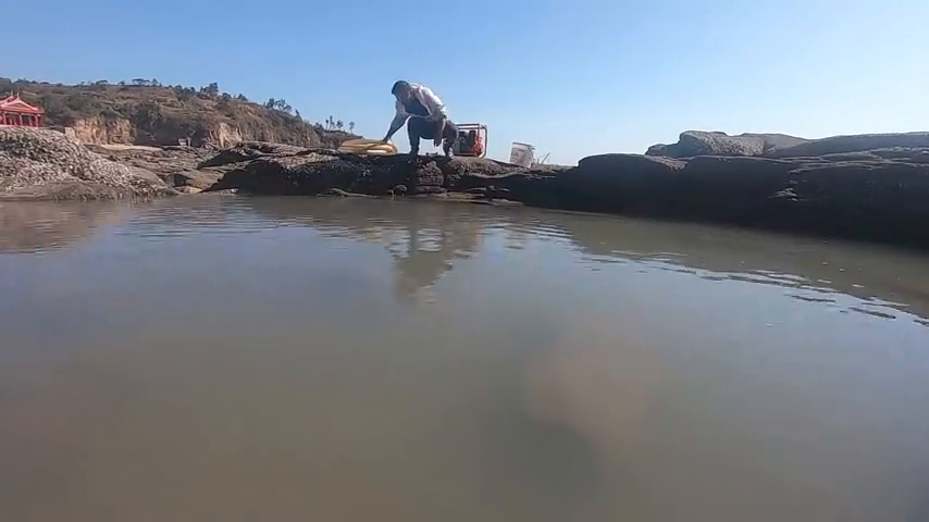 澳大利亚11岁女孩勇救搁浅鲨鱼