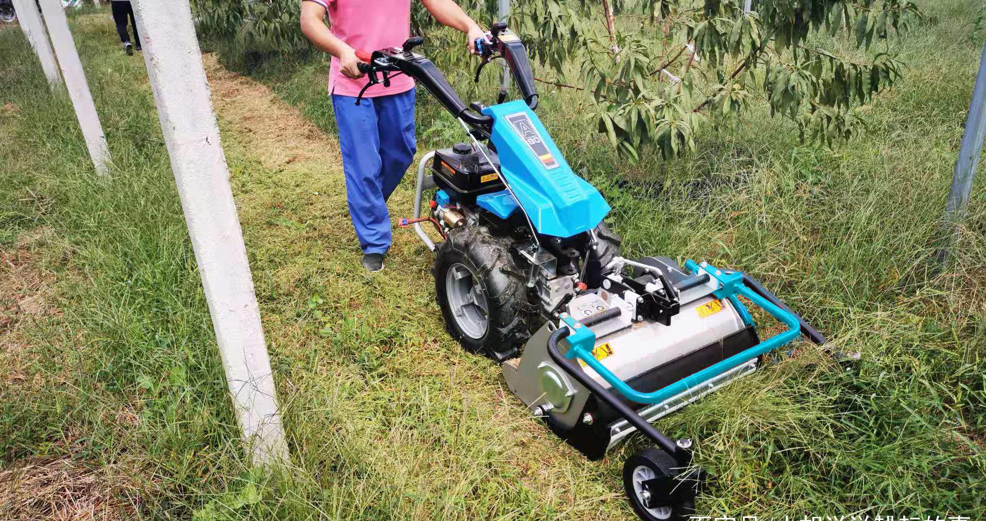 割草机多少钱一台|小型锤钢刀割草机价格是多少|农用割草机|割草机|打