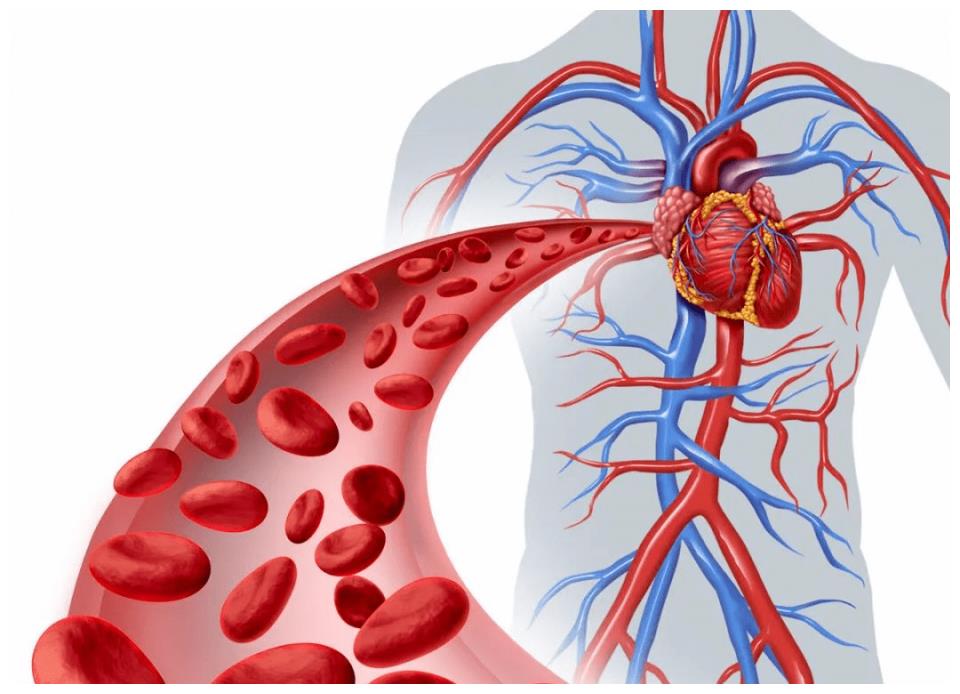 好端端一个人，为何突发心梗离世呢？医生：这1食物是“祸根”休闲区蓝鸢梦想 - Www.slyday.coM