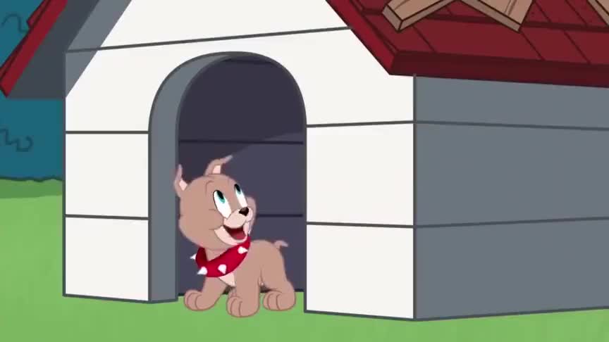 斯派克趁天气好把房子的漏洞补好真是一条勤快的狗