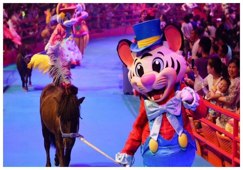 广州长隆国际大马戏,看到了一场精美绝伦的表演|大马戏|长隆|马戏团