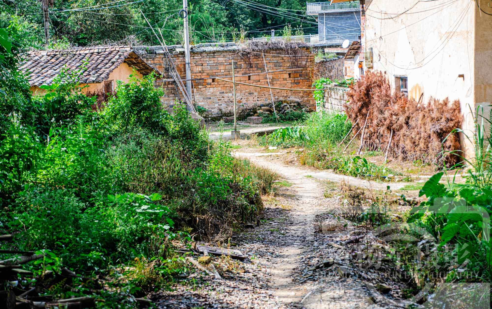 清幽的乡村小路把东韶古村处处相连,走在小路上让人觉得熟悉又亲切.
