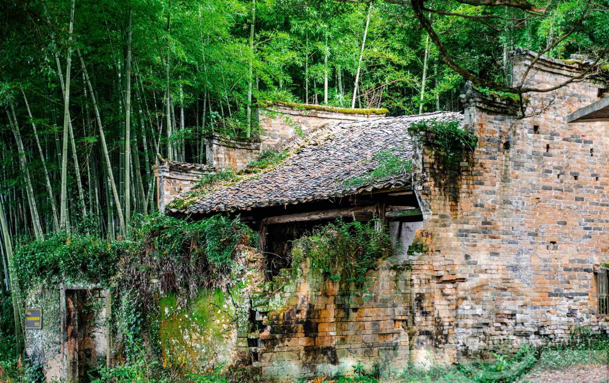 江西兴国县东韶古村,赣州夏天里的千年古村落,古树参天古韵浓郁
