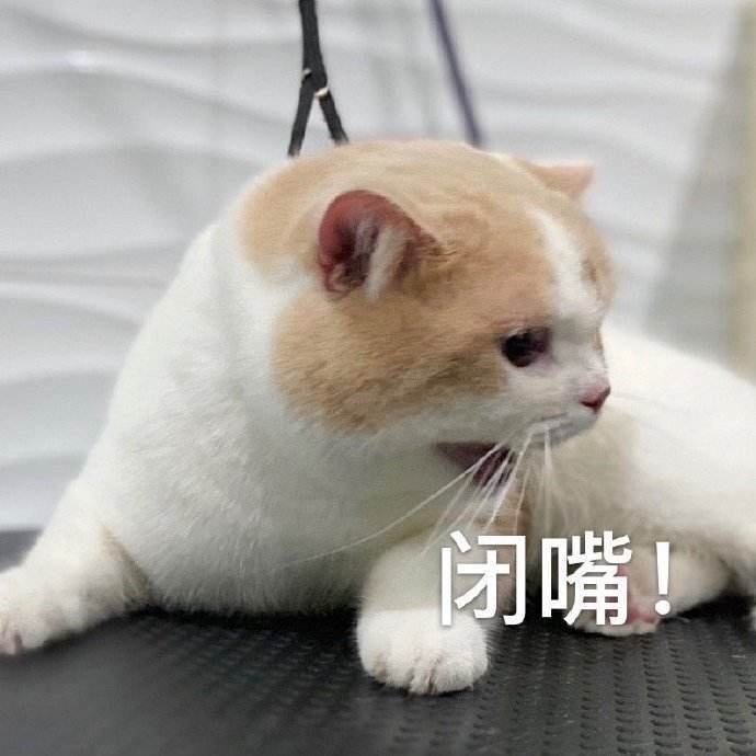 开心笑话:蜘蛛:我感觉我的身体都被掏空了,但我没有办法啊休闲区蓝鸢梦想 - Www.slyday.coM 开心笑话:蜘蛛:我感觉我的身体都被掏空了,但我没有办法啊休闲区蓝鸢梦想 - Www.slyday.coM