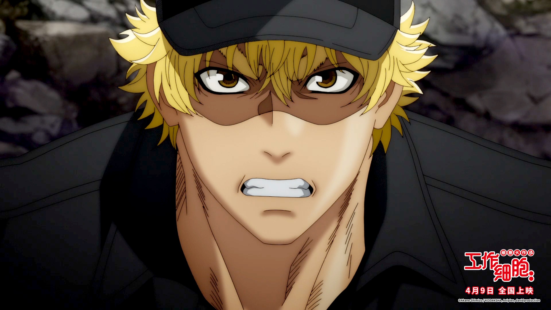 电影版《工作细胞》发布新预告 热血治愈开启身体大冒险__财经头条