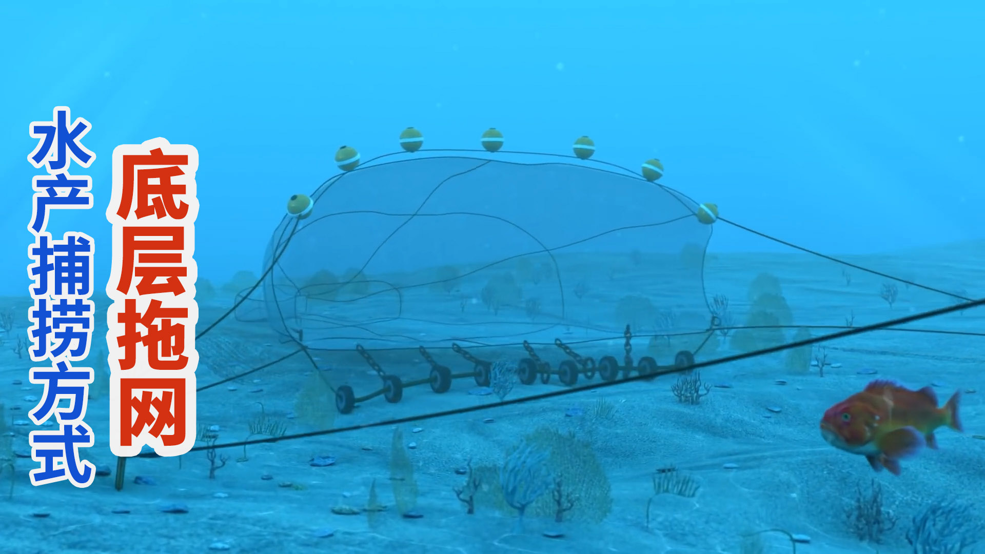 世界现代化水产捕捞方式:底层拖网捕捞