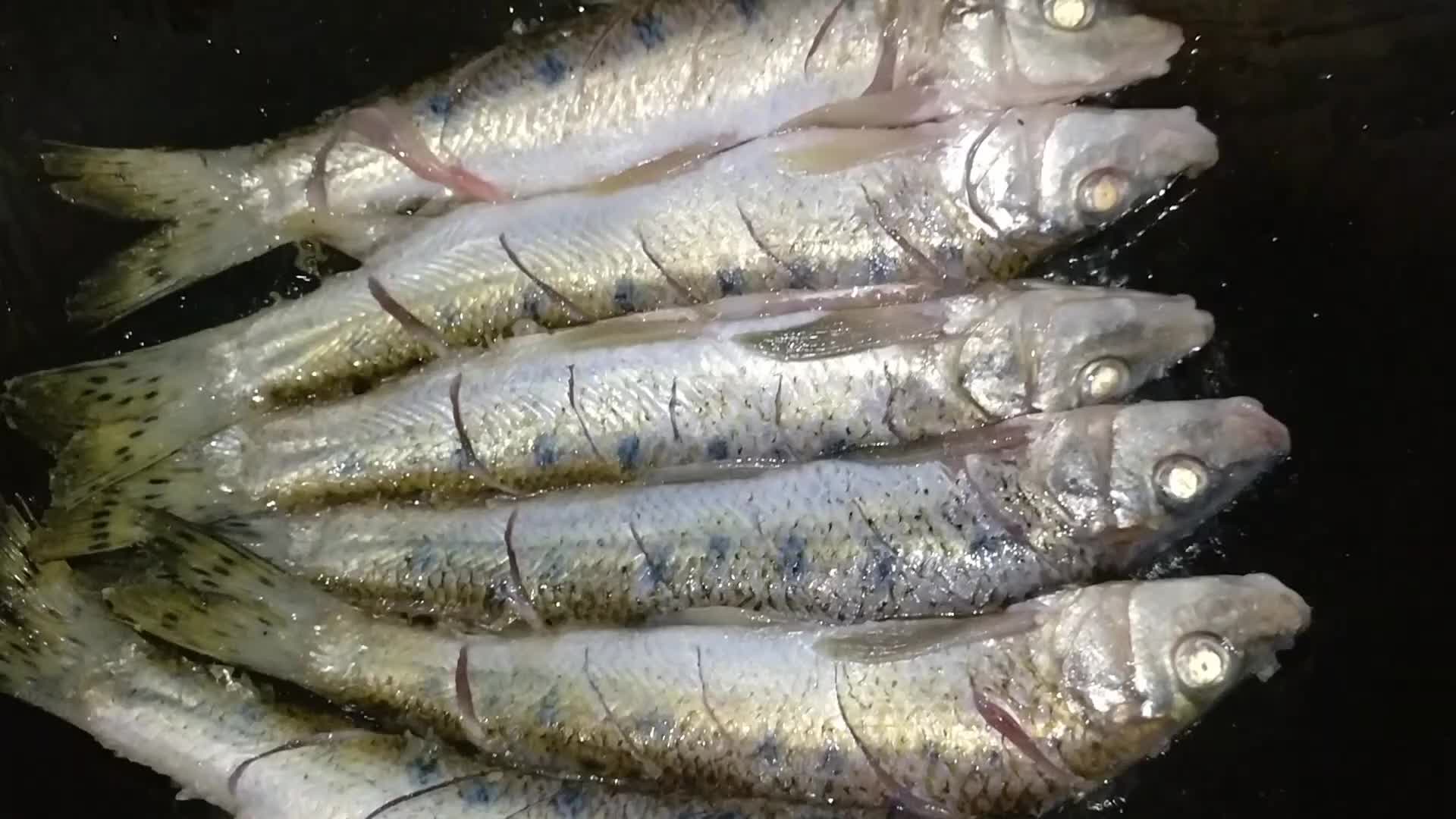 不常见的花骨鱼,炖了40分钟鱼刺酥烂,肉质鲜嫩