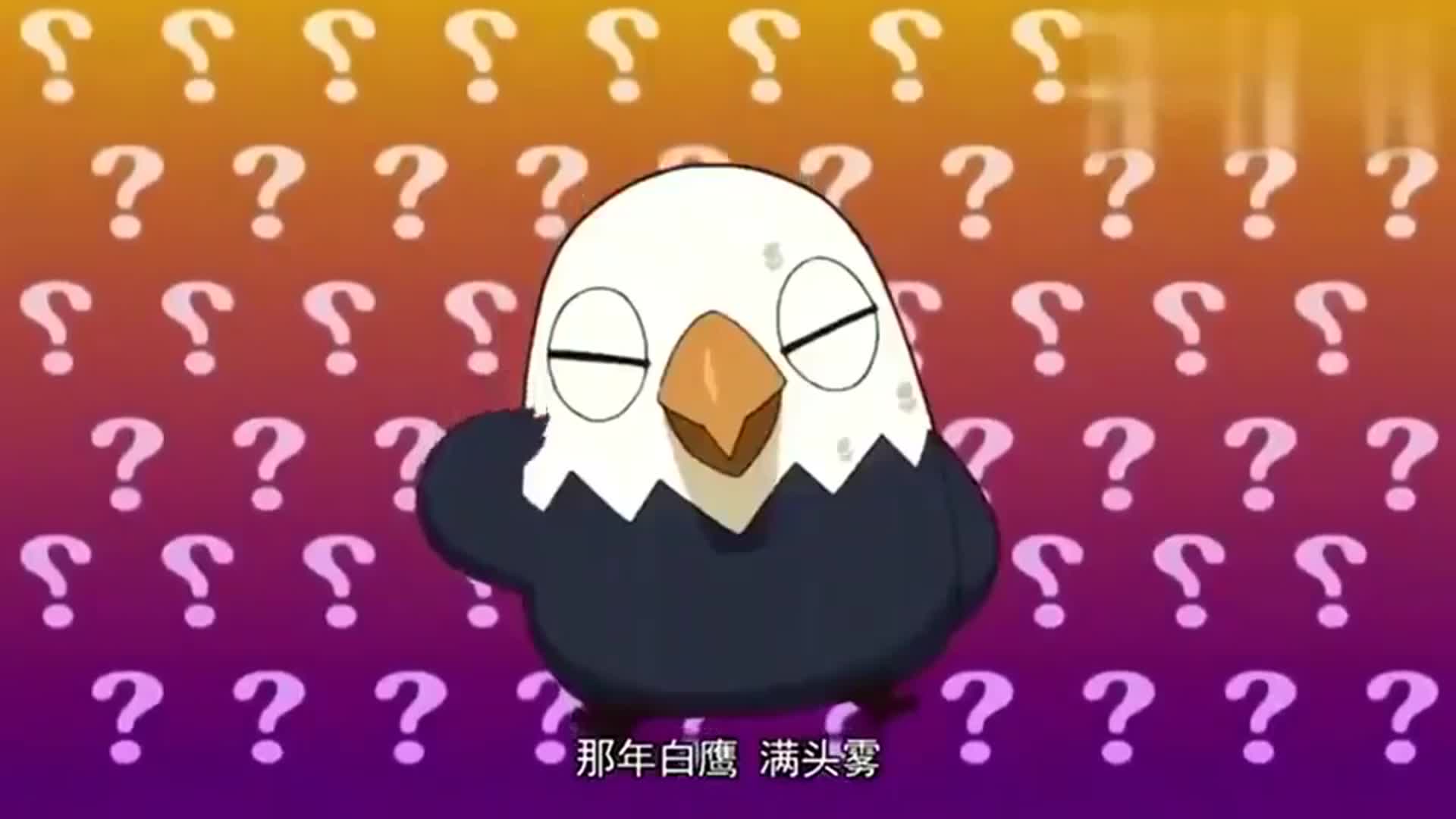 那年那兔那些事鹰酱又要干仗兔子劝架别耽误我做生意啊