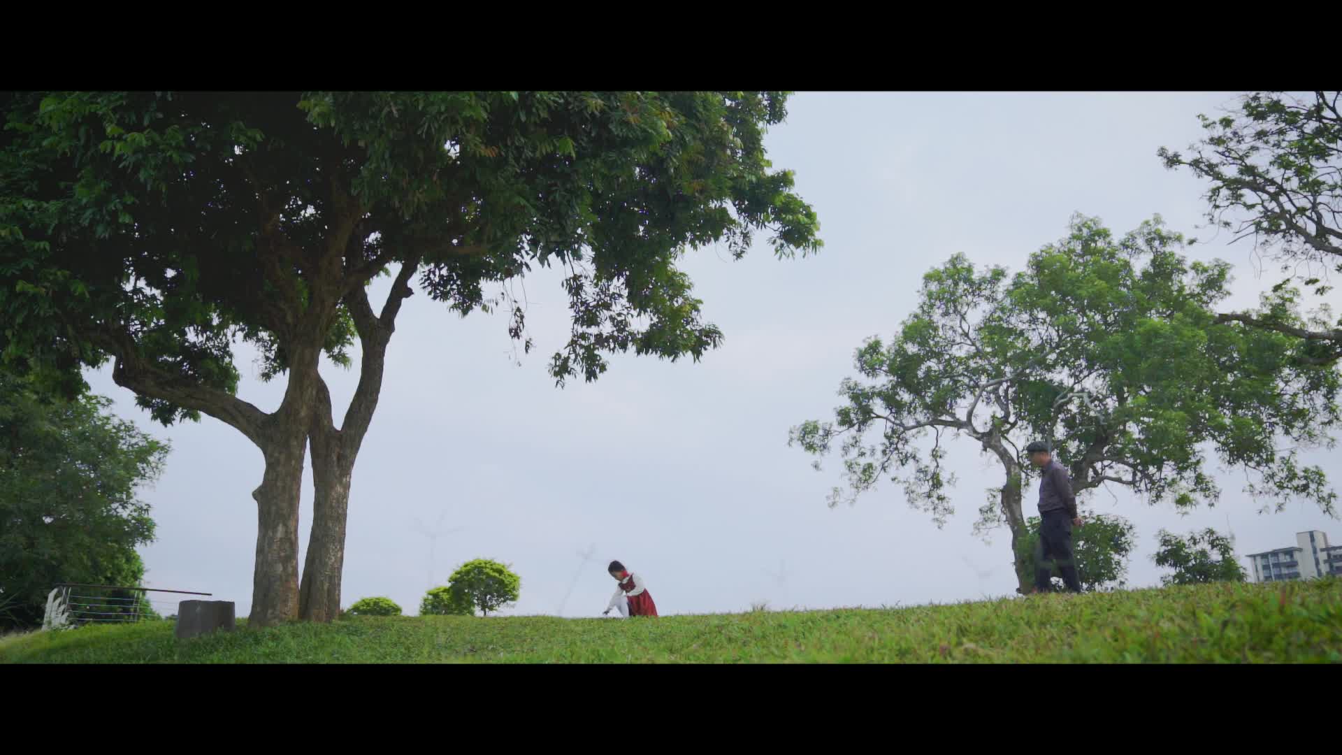 给阿爷的一封信