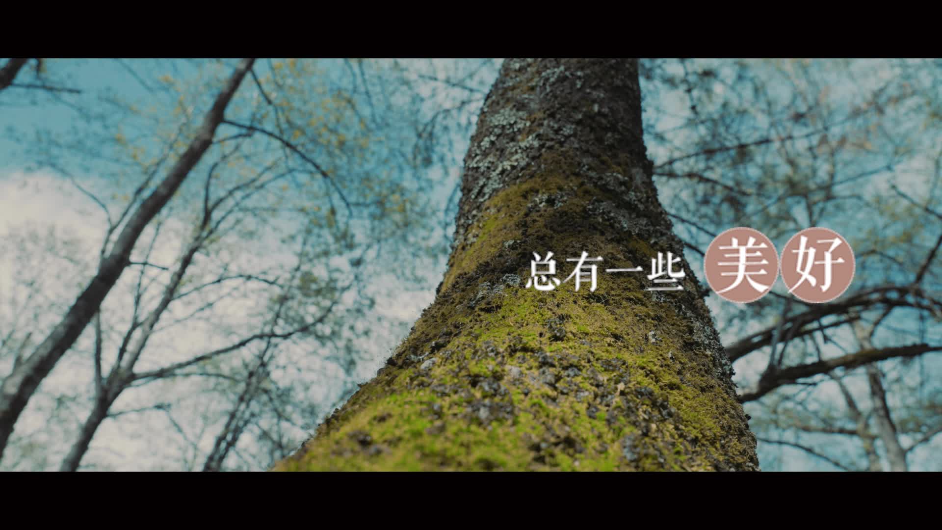 《跟着总书记看中国》22.四川篇 脱贫攻坚瓦吉瓦