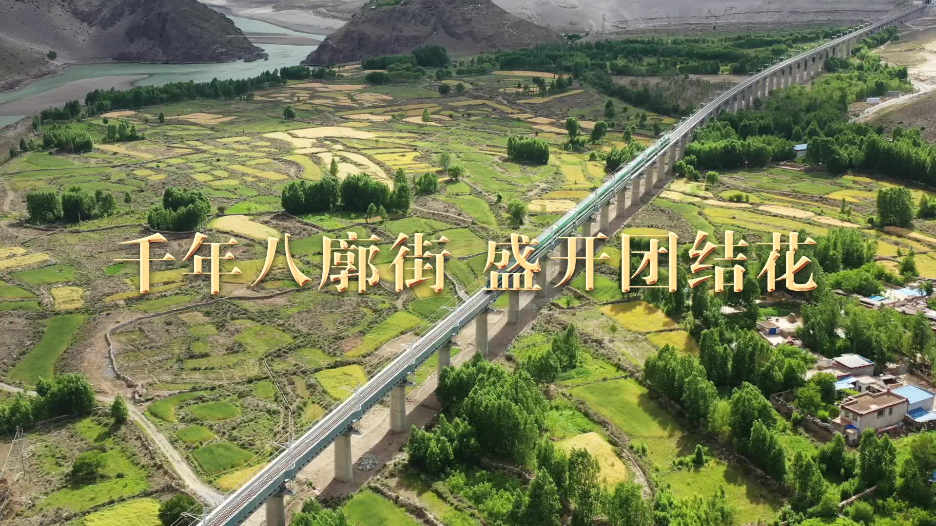 《跟着总书记看中国》35.西藏篇 千年八廓街 盛开团结花