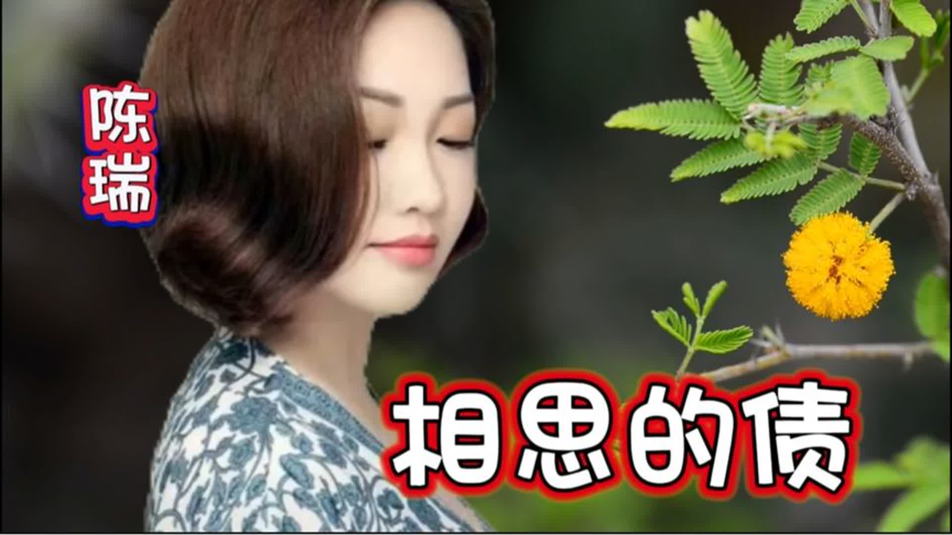 陈瑞经典《相思的债》声声入心句句深情唱出生死相许的爱情