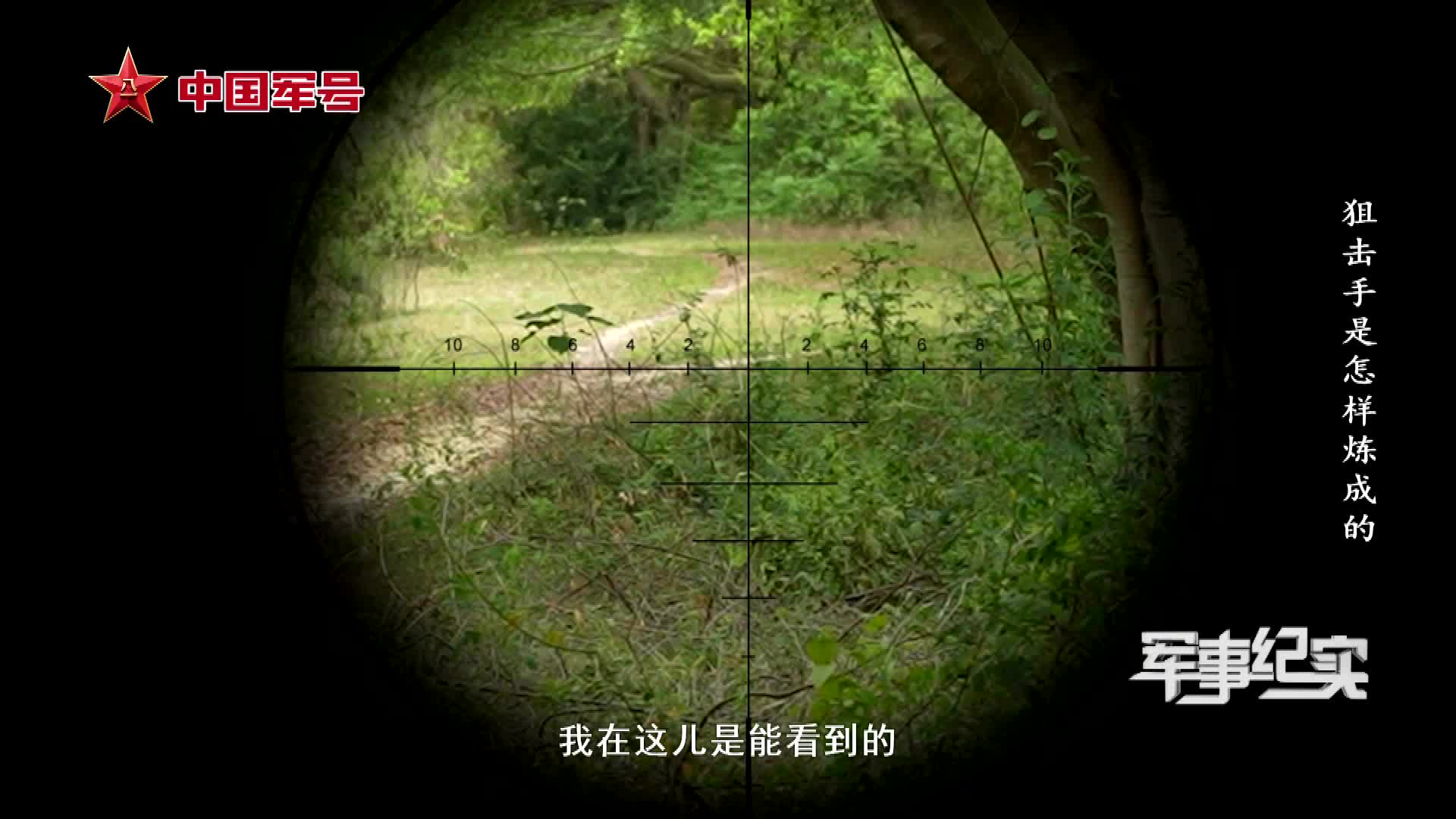 树叶上的汉字看得一清二楚！狙击手的眼睛原来这么尖！