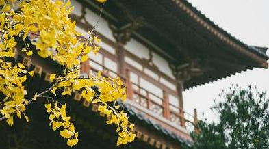 杜甫的诗有哪些（杜甫的诗有哪些_小学一到三年级）-85模板网