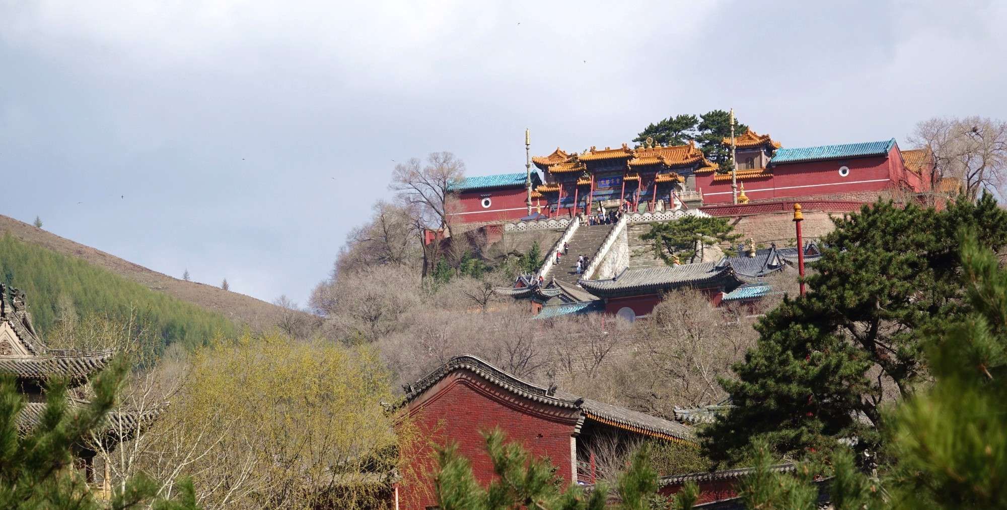 春日五台山 生机盎然 尽显中国佛教圣地与世界文化遗产的魅力