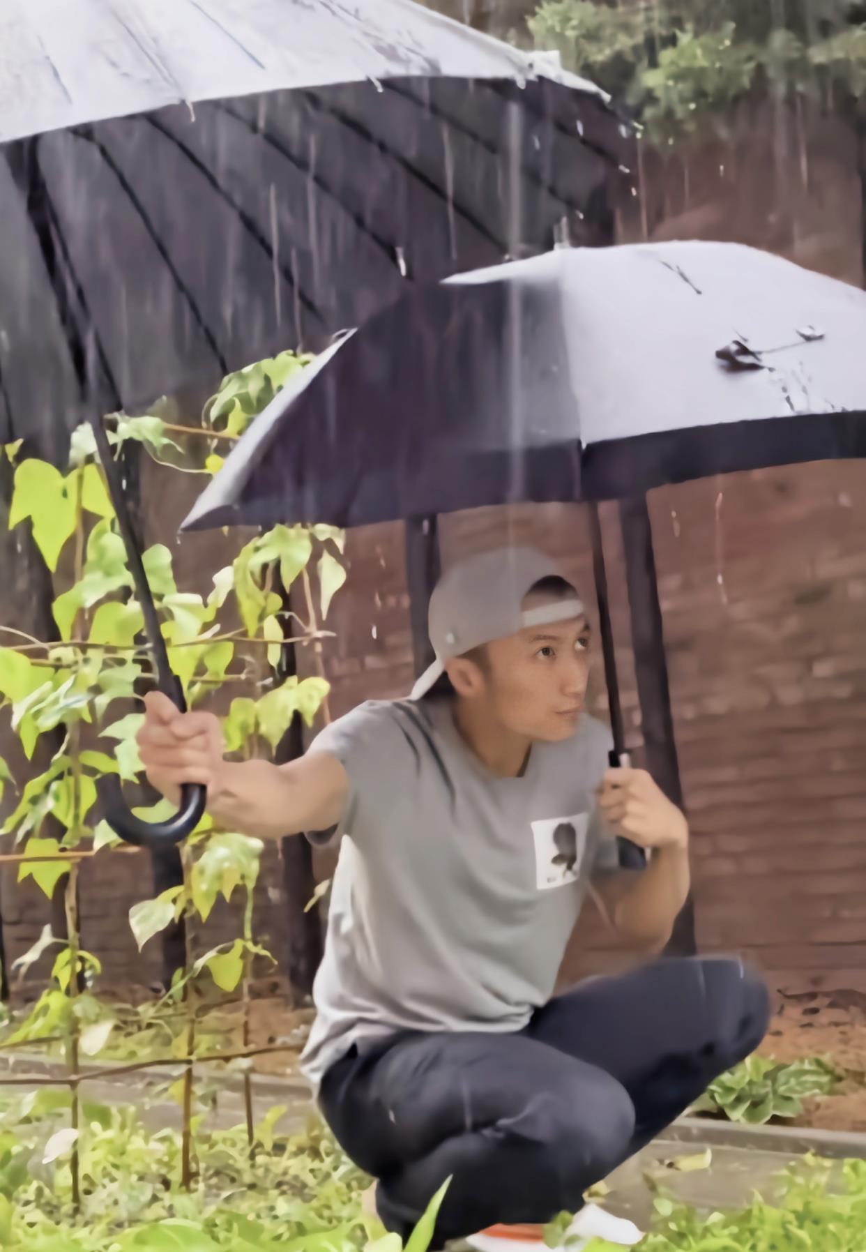 谢霆锋大雨中蹲在自家菜园里给菜打伞,好有爱心啊