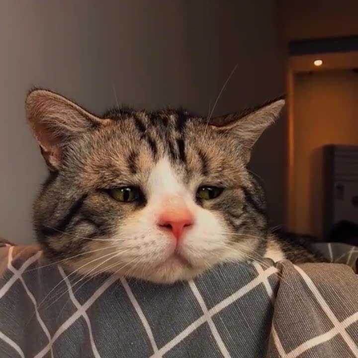 看这愁眉苦脸的,有心事了吧