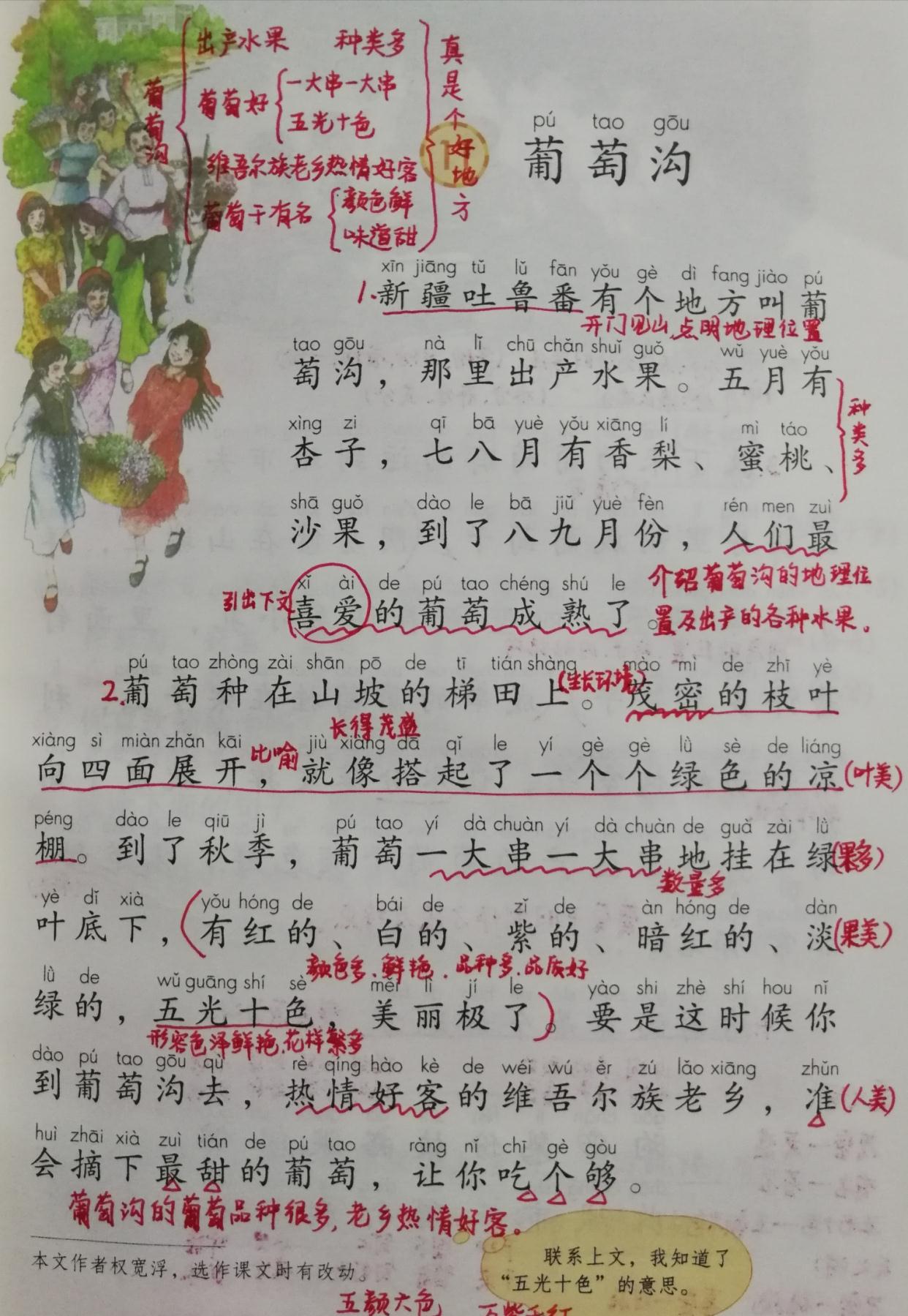 二年级语文葡萄沟备课笔记详细总结知识点帮孩子预习复习