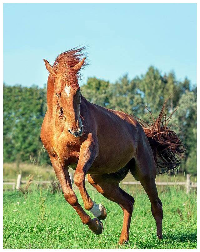 古人云:贵人驿马多升擢,常人驿马多奔波,不建议对号入座哦