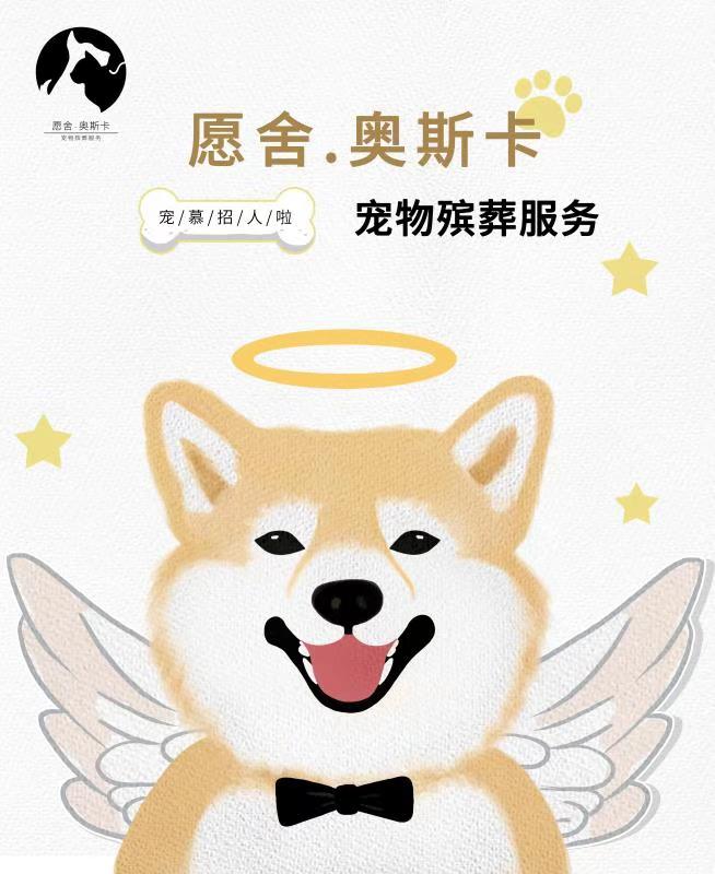 无锡宠物葬礼为爱善终愿舍奥斯卡宠物殡葬服务