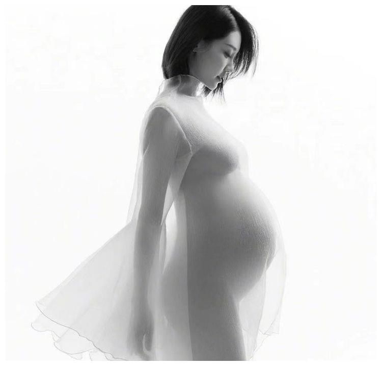 女明星孕肚照怀孕只胖肚子姚晨苗苗还好看到她真是秀儿