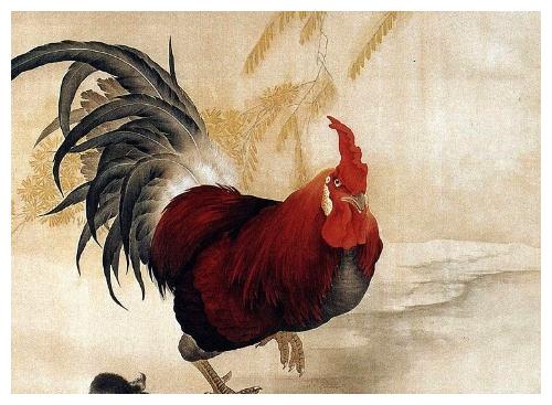 1969年的属鸡人运势解读51岁命里有一灾一切都是命数