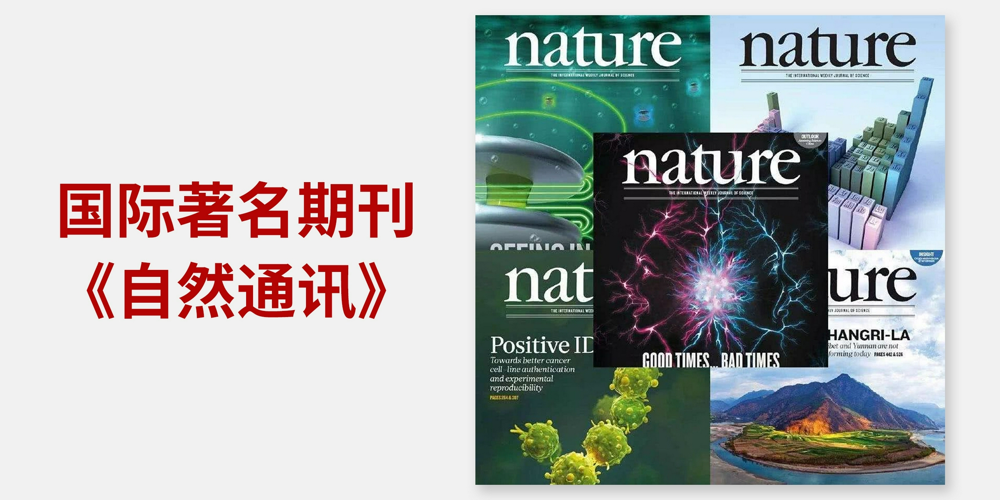 Nature：解读生物规律作息的秘码，有效抵抗衰老延长寿命__财经头条