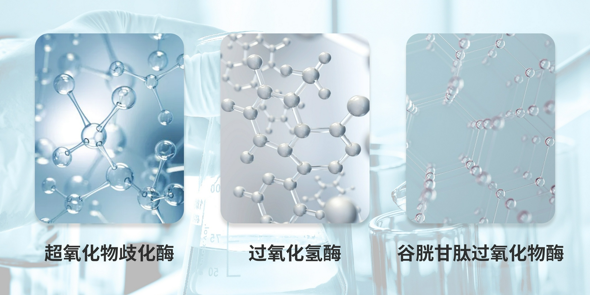 拥有抗氧化能力的,只有sod(超氧化物歧化酶),cat(过氧化氢酶),gsh