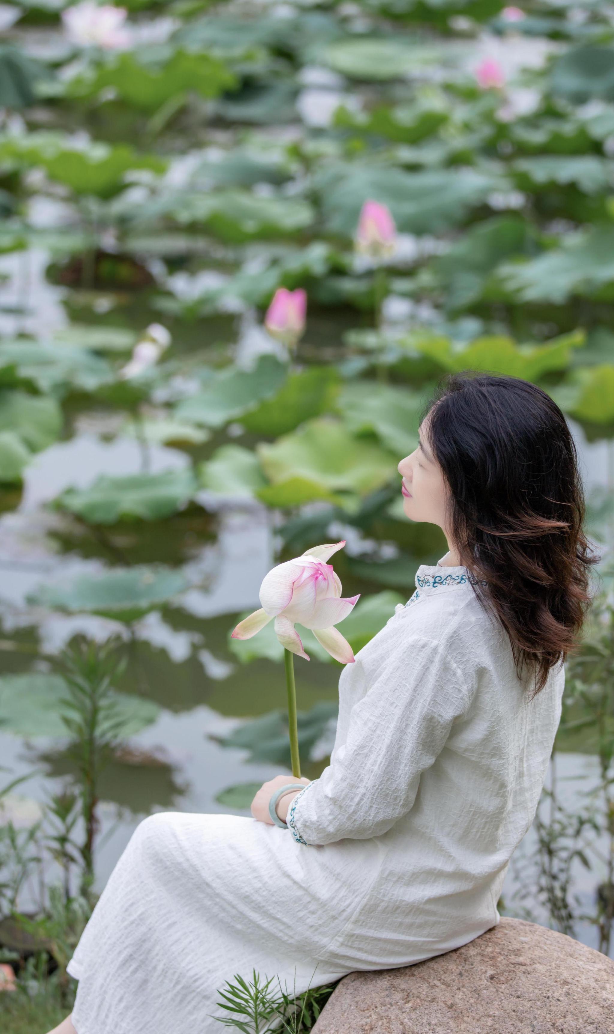 我願為蓮,根,深植於水裡;花,卻高擎坦蕩.