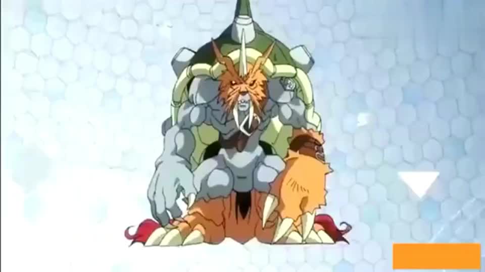 数码宝贝:仙人掌兽和海狮兽首次究极进化!一个太美一个太帅!