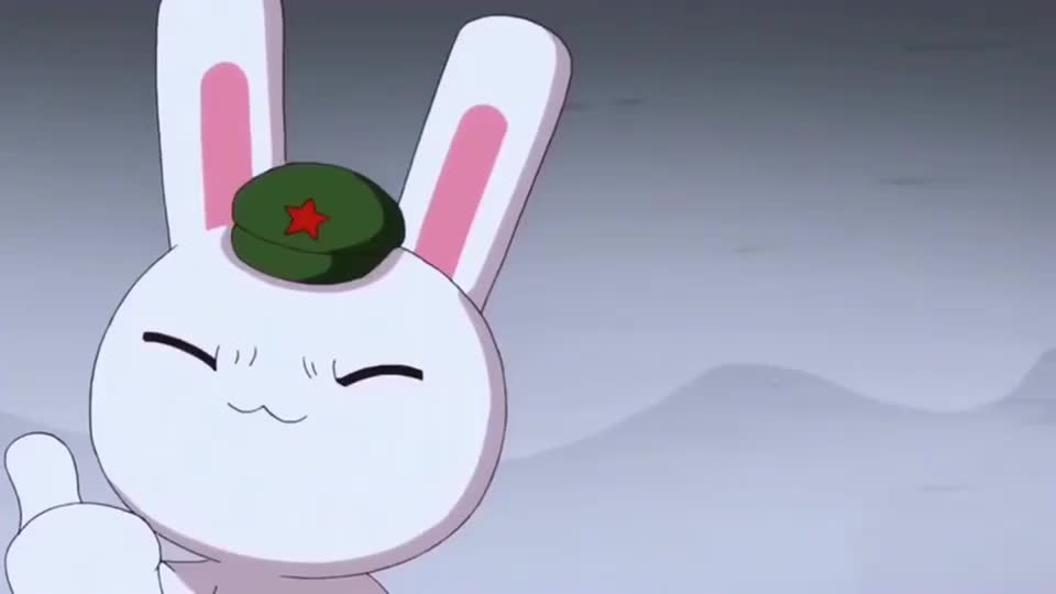 那年那兔那些事兔子更新迭代的板砖