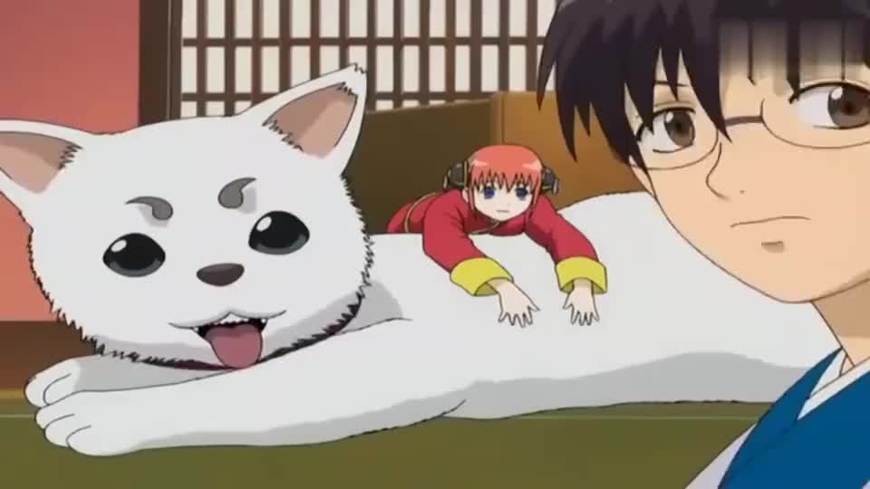 银魂:银时新八两个人都干不过定春!哈哈