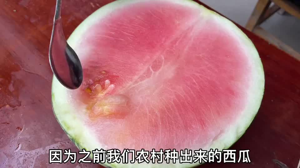 西瓜里面有白筋,听说打过针,膨大剂,甜蜜素?总算真相大白了