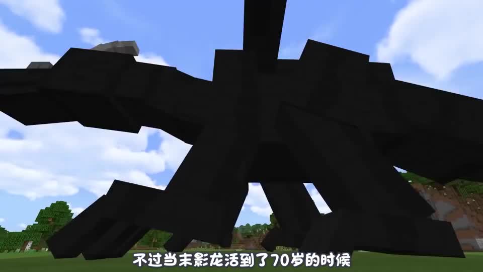 阿涵说:当我的世界中"末影龙"活到100岁,竟能与凋零疯狂大战
