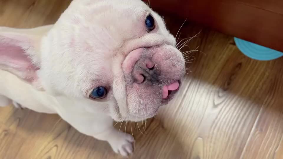 你这是咬到舌头了?