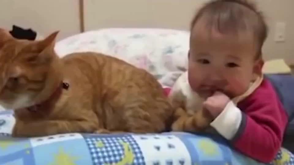 小主人一口咬住猫尾巴，猫咪刚要发火，看到宝宝秒变脸