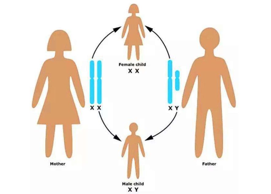 原因令人唏嘘|近亲结婚|畸形儿|表兄妹_新浪新闻